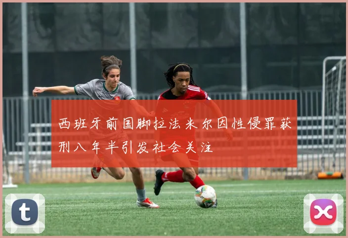 西班牙前国脚拉法米尔因性侵罪获刑八年半引发社会关注
