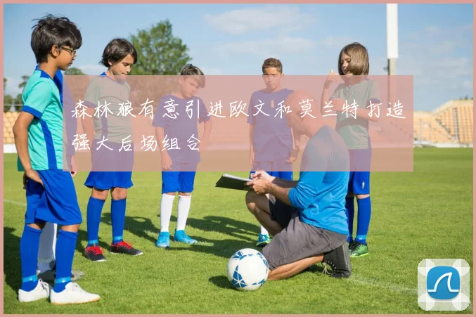 森林狼有意引进欧文和莫兰特打造强大后场组合